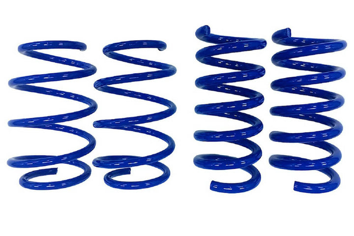 Steeda Mustang GT Drag Springs - Linear 555-8231  (2015-2024)